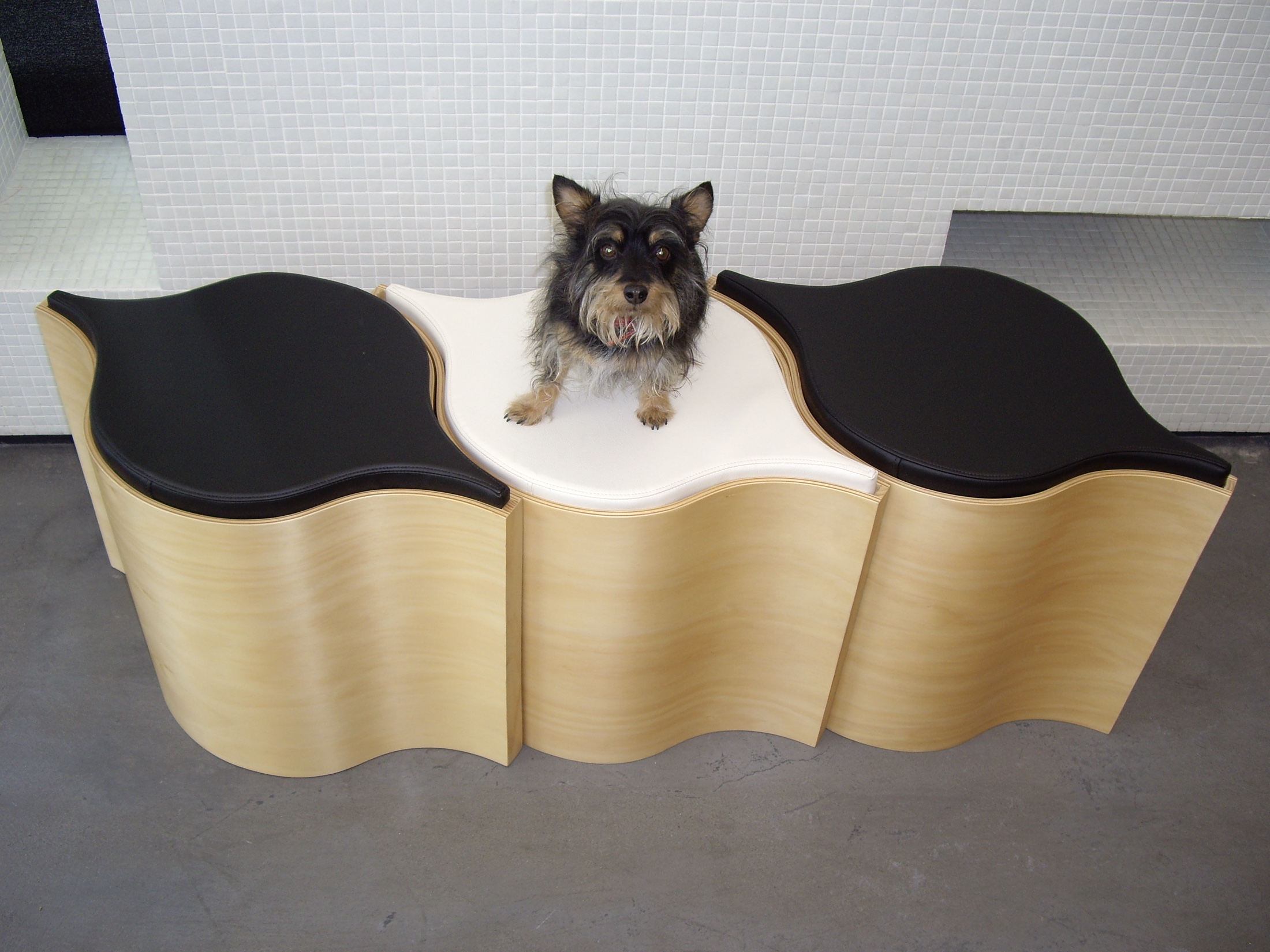 A small dog sitting at the centre of three connected light-timber Flosion modules